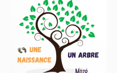 Une naissance, un arbre, première édition !