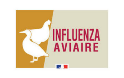 Arrêté Grippe Aviaire – DDPP n°2022-1406