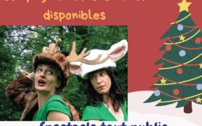 La bibliothèque de Mozé vous propose le spectacle : Noël, le sapin et moi
