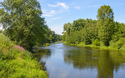 Interdiction de pêche sur le LOUET